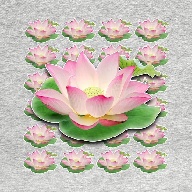 namaste lotus flower by GazzKen005